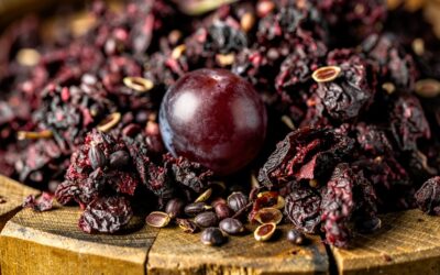 Los taninos: los pilares invisibles del vino